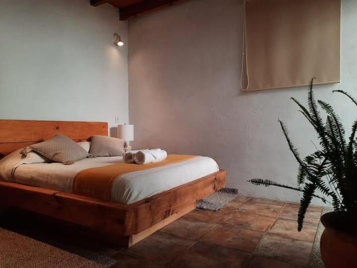 Hotel Valle Mistico Tepoztlan Ngoại thất bức ảnh